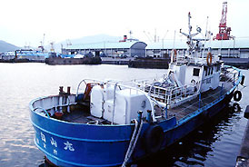 Fischerei in Japan