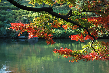 Japan Photo | Happo-en 八芳園 stroll garden in Tokyo